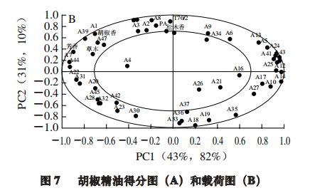 【智能感官】4 種胡椒精油風味特征分析8