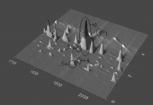 色譜聞香在白酒風味特征的分析研究3