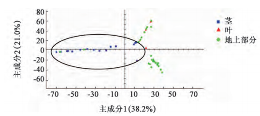 【智能感官】基于電子眼技術(shù)的穿心蓮質(zhì)量評價4