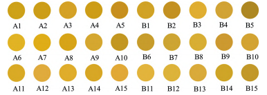 智能感官技術在中藥領域的應用